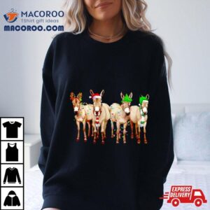 Donkey Merry Christmas Lights Tshirt