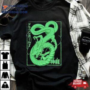 Dragon Ball Z Shenron Tshirt