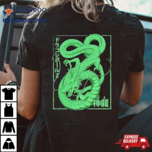 Dragon Ball Z Shenron Tshirt