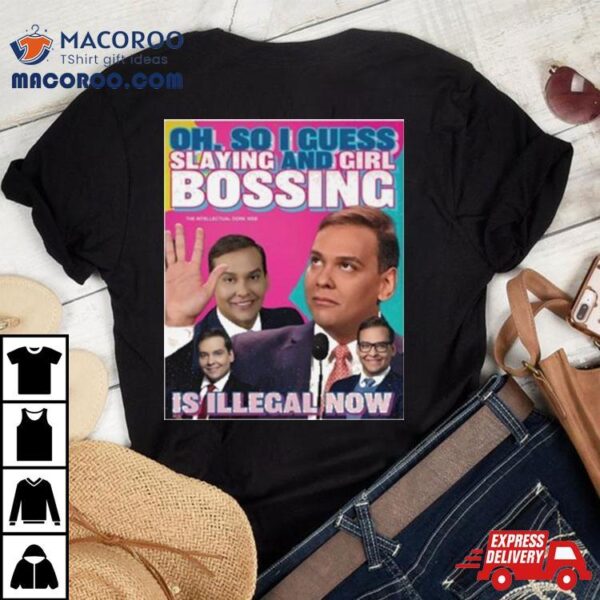 George Santos Oh So I Guess Slaying And Girlbossing Is Illegal Now T Shirt