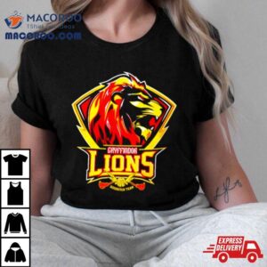 Gryffindor Lions Quidditch Team Tshirt