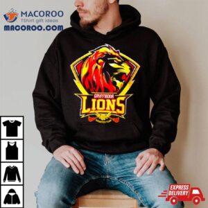 Gryffindor Lions Quidditch Team Tshirt