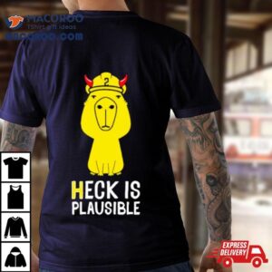 Heck Is Plausible 2023 Shirt