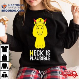 Heck Is Plausible Tshirt