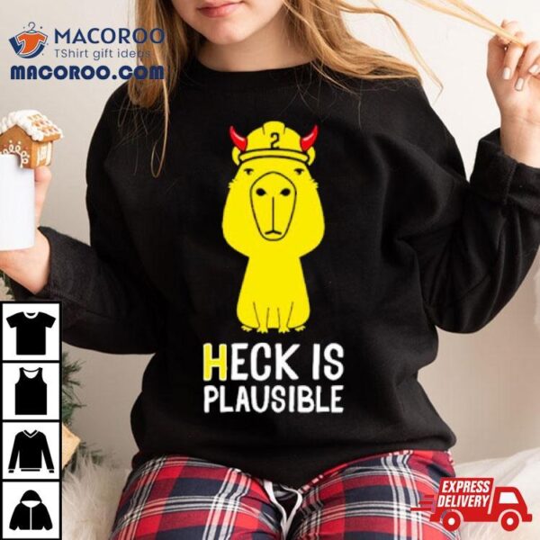 Heck Is Plausible 2023 Shirt