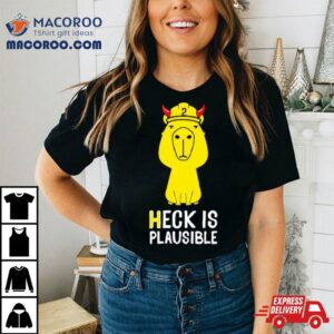 Heck Is Plausible Tshirt