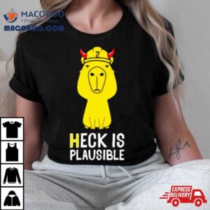 Heck Is Plausible Tshirt