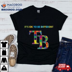 Mlb Tampa Bay Rays Autism It S Ok To Be Differen Tshirt