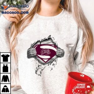 Montana Grizzlies Blood Inside Superman Tshirt