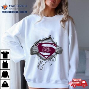 Montana Grizzlies Blood Inside Superman Tshirt