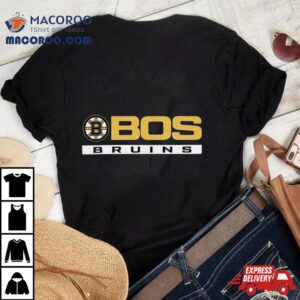 Nhl Boston Bruins Logo Grey Tri Blend Tshirt