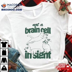 Not A Brain Cell In Sight Cat Tshirt