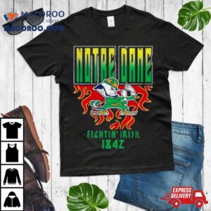 St Patrick’s Day Irish You Can’t Arrest Me I’m T Shirt