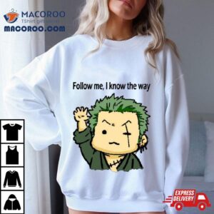 One Piece Roronoa Zoro Tshirt