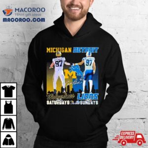 Skyline Aidan Hutchinson Michigan Wolverines On Saturdays Detroit Lions On Sundays Tshirt