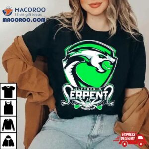 Slytherin Erpent Quidditch Team Tshirt