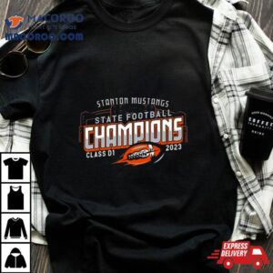 Stanton State Football Champions Class D Tshirt