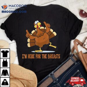 Thanksgiving Funny I M Here For The Breasts Tshirt