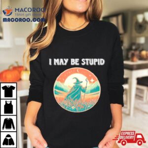 Wizard I May Be Stupid Tshirt