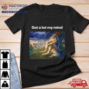 Wolf Funny Meme Got A Lot My Mind Tshirt