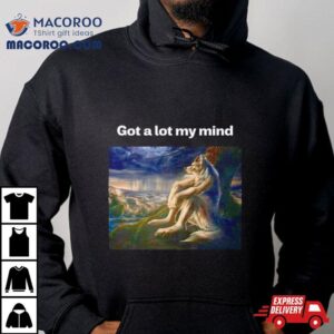 Wolf Funny Meme Got A Lot My Mind Tshirt