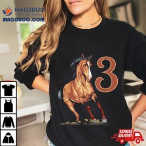 Rd Birthday Horse Gifts For Year Old Equestrian Tshirt