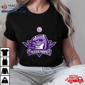Ahl Springfield Thunderbirds Black Hockey Fights 2024 T Shirt