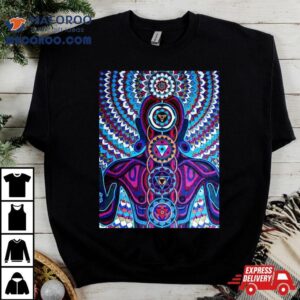 Alex Grey Baksobula Tshirt