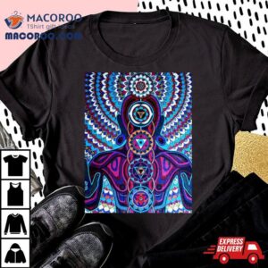 Alex Grey Baksobula Tshirt