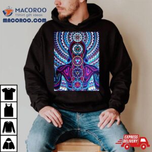 Alex Grey Baksobula Tshirt