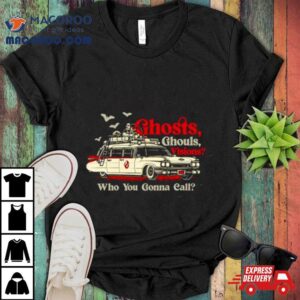 Car Ghost Ghouls Visions Who You Gonna Call Tshirt