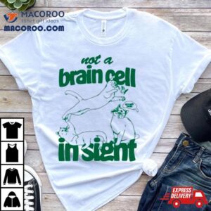 Cat Not A Brain Cell In Sigh Tshirt