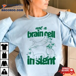 Cat Not A Brain Cell In Sigh Tshirt