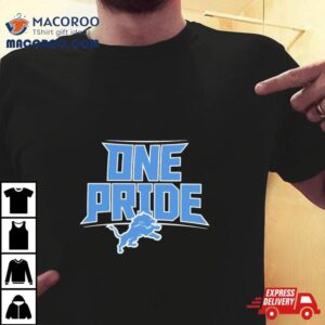 Detroit Lions Nfl One Pride Logo Tshirt