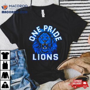 Detroit Lions One Pride Vintage Tshirt