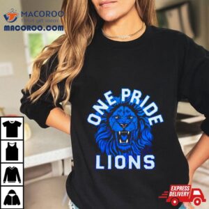 Detroit Lions One Pride Vintage Tshirt