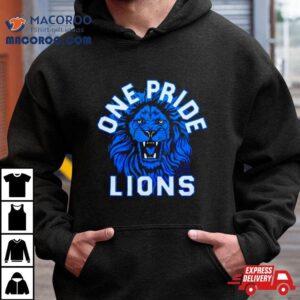 Detroit Lions One Pride Vintage Tshirt