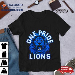 Detroit Lions One Pride Vintage Tshirt