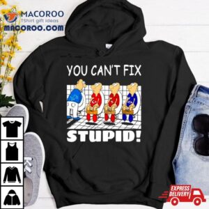 Detroit Lions You Can’t Fix Stupid Shirt