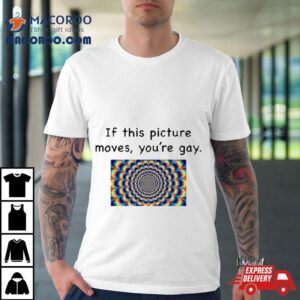 If This Picture Moves You Re Gay Tshirt