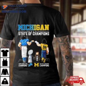 Michigan State Of Champions Michigan Detroit Lions And Michigan Wolverines Shirt