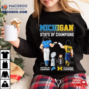 Michigan State Of Champions Michigan Detroit Lions And Michigan Wolverines Tshirt