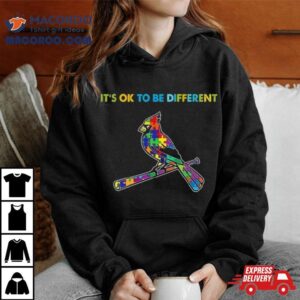 Mlb St Louis Cardinals Autism It S Ok To Be Differen Tshirt