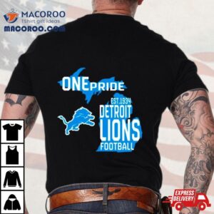 One Pride Detroit Lions Football Tshirt