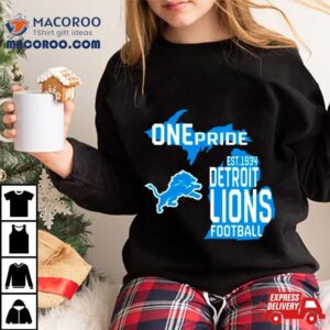 One Pride Detroit Lions Football Tshirt