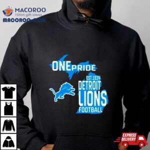 One Pride Detroit Lions Football Tshirt