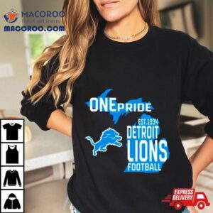 One Pride Detroit Lions Football Tshirt