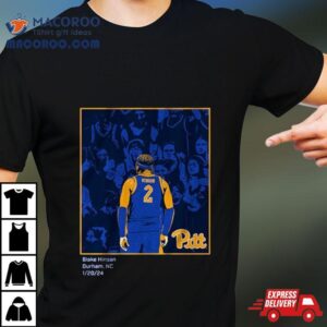 Pitt Basketball Blake Hinson Hang It In The Louvre Tshirt