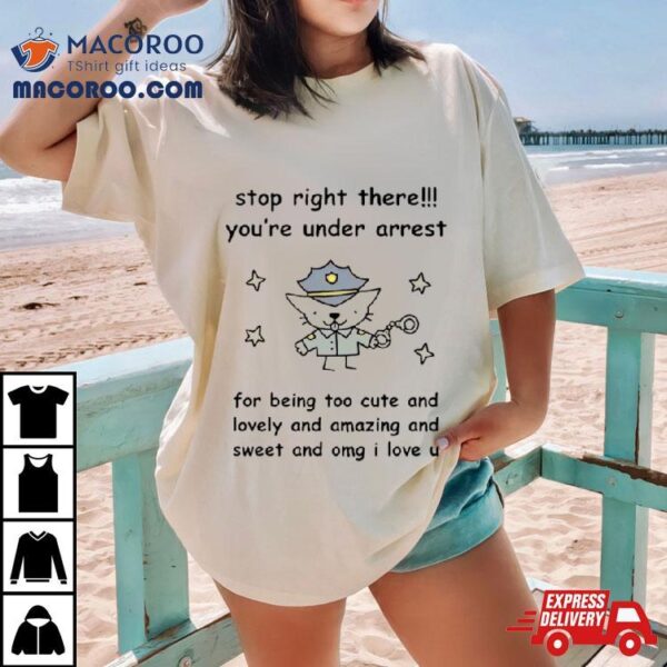 Stop Right There You’re Under Arrest Funny Shirt