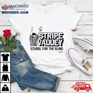 Stripe Valley School For The Blind Tshirt